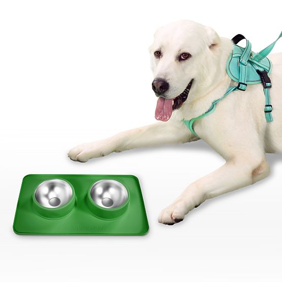 Metal Bowls for Dogs or Cats with Non-Slip Mat Green PJ-087