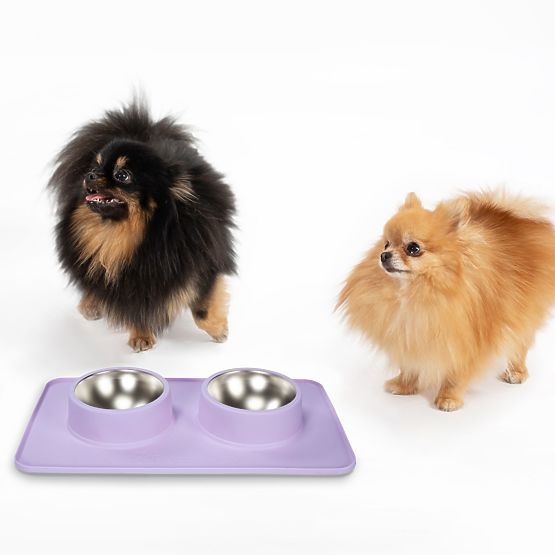 Metal Bowls for Dogs or Cats with Non-Slip Mat Purple PJ-088