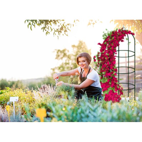 Metal Pergola Post Dark Green 190 cm