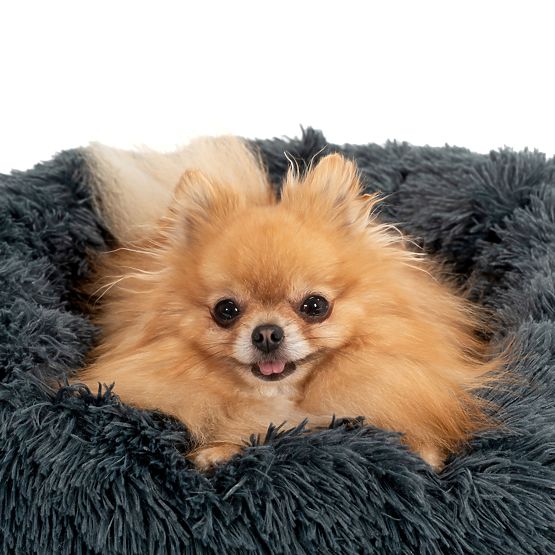 PET BED FOR DOG CAT PJ-005 DARK GRAY XL