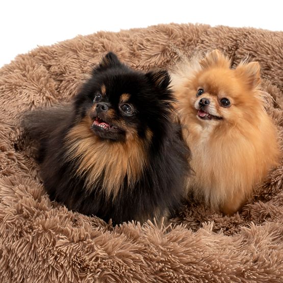 PET BED FOR DOG CAT PJ-011 BROWN L