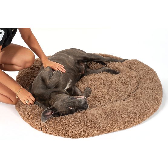 PET BED FOR DOG CAT PJ-012 BROWN XL