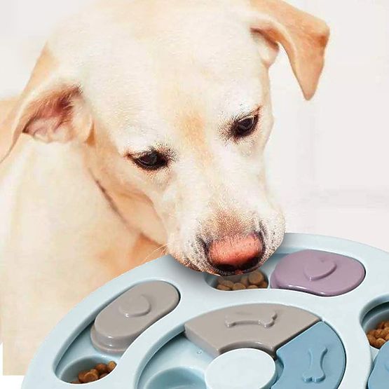 Puzzle Toy for Dogs and Cats Pluto Marine