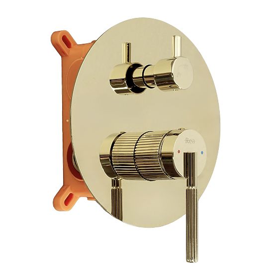 Rea Argon Gold Concealed Shower Set + BOX
