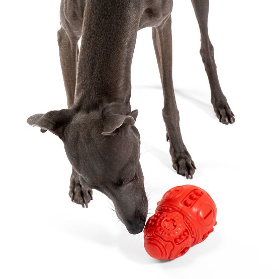 Red Chew Ball for Dogs PJ-046