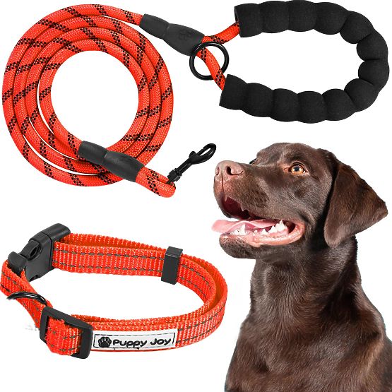 Reflective Dog Leash and Collar PJ-035 Red