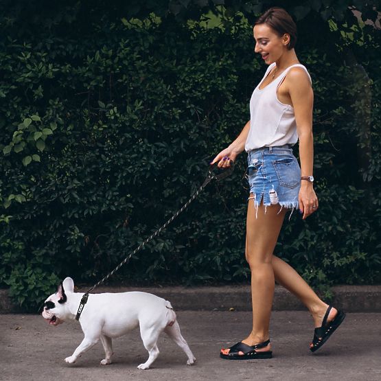 Reflective Dog Leash and Collar PJ-091 Black