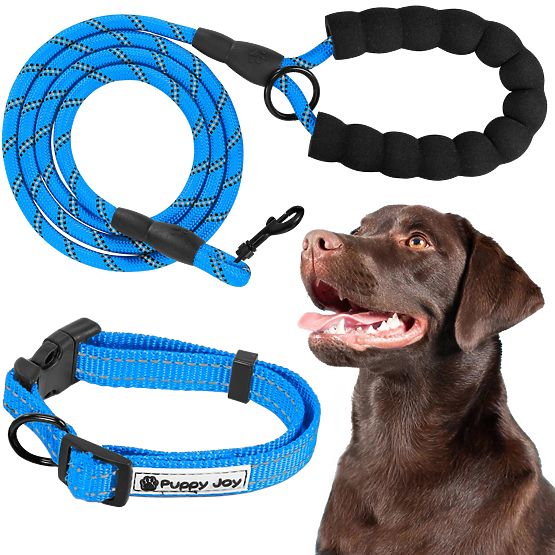 Reflective Leash and Collar for Dog PJ-037 Blue