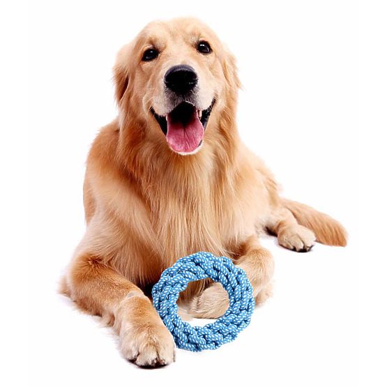Set of 10 BALTO Dog Toys Tug Ropes