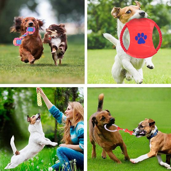 Set of 10 DYLAN Dog Toys Tug Ropes