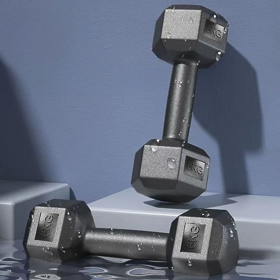 Set of 2 KRONOS Dumbbells 2x6 kg