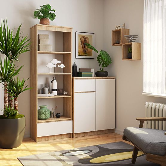 SHELF R60 1DR 4S CLP PK OAK SONOMA / WHITE