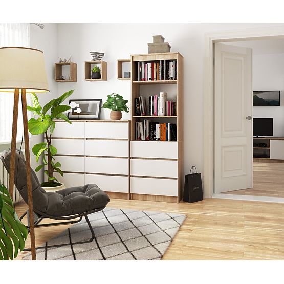 SHELF R60 3DR 2S CLP PK SONOMA / WHITE