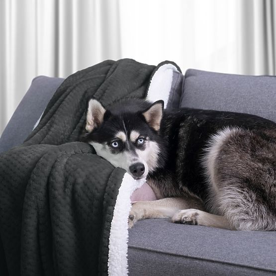 SHLEEPY Blanket in Graphite Color Jacquard Embossed Classic Style 170x210