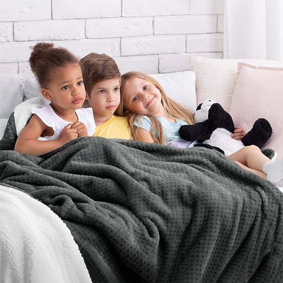 SHLEEPY Blanket in Graphite Color Jacquard Embossed Classic Style 170x210
