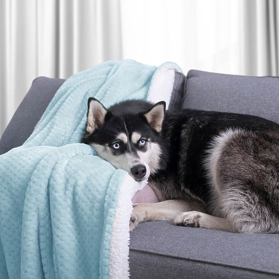 SHLEEPY Blue Blanket with Jacquard Pattern Classic Style 130x180