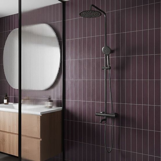 Shower Set with Thermostat Rea Lungo Titan