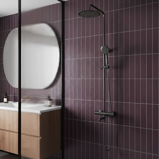 Shower Set with Thermostat Rea Lungo Titan