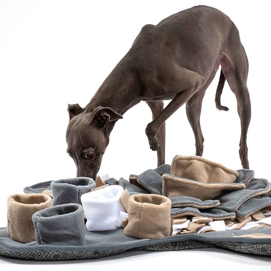 SNIFFING MAT FOR DOGS PJ-028