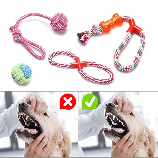 SPANKY Dog Tug Toy Set 5 Pieces