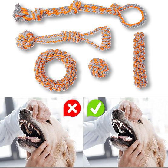 SPANKY Dog Tug Toy Set 5 Pieces