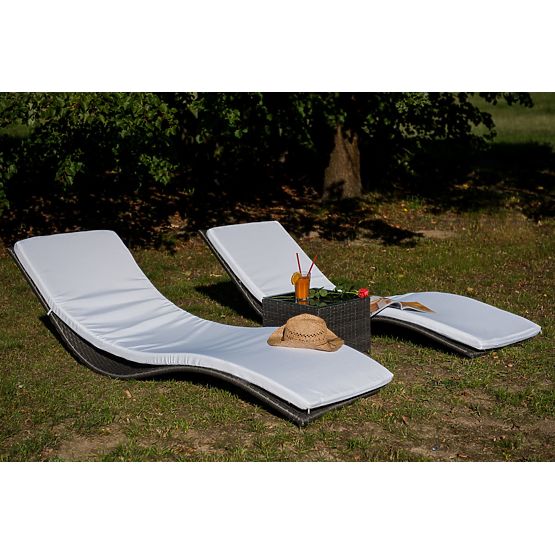 SUCCESSO Gray Technorattan Lounger Set with Table