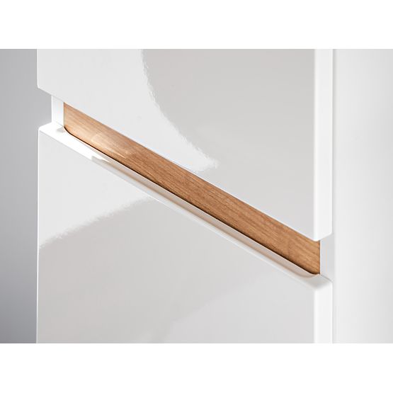 Tall Cabinet 2 Doors