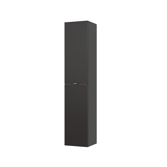Tall Cabinet 2 Doors
