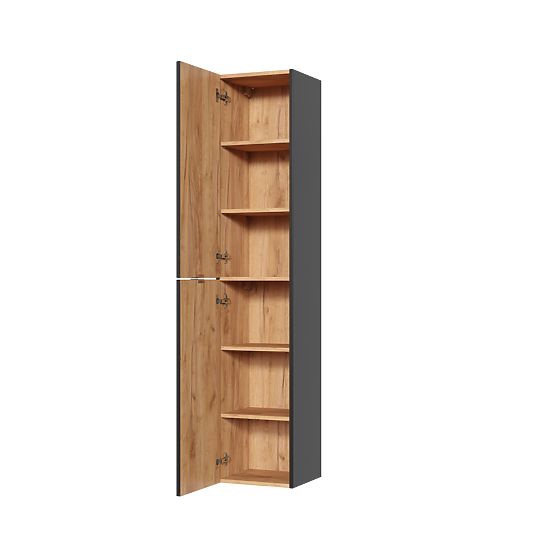 Tall Cabinet 2 Doors
