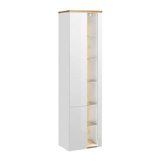 Tall Cabinet with 2 Doors