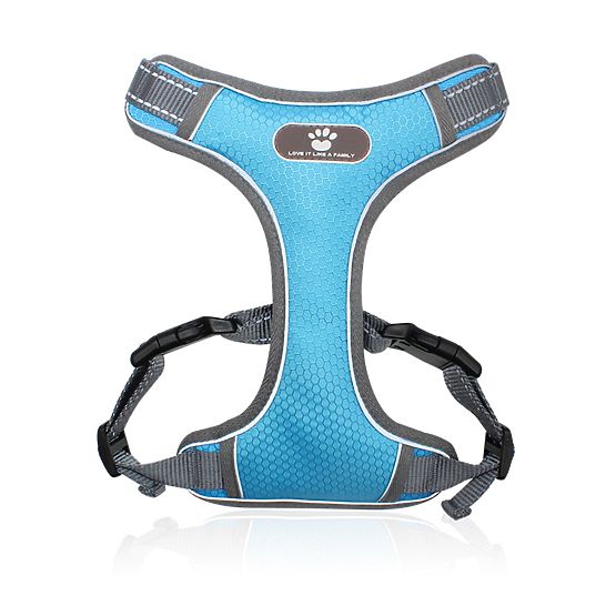 Training Dog Harness ASTRO Blue Size XL