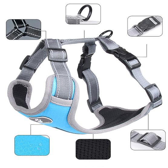 Training Dog Harness ASTRO Blue Size XL