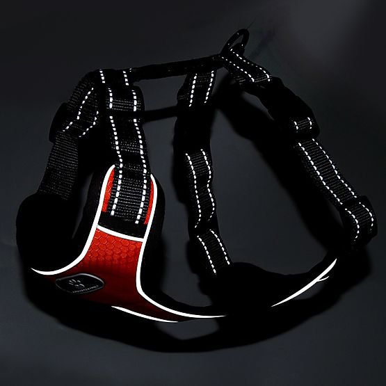 Training Dog Harness ASTRO Orange Size L