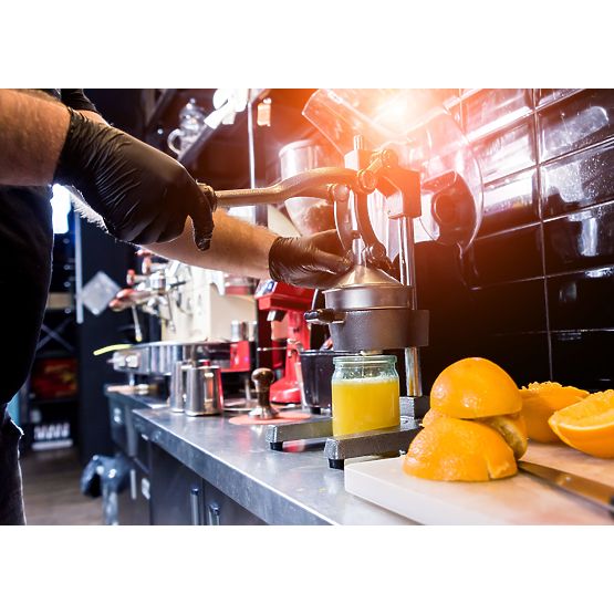 Verna Citrus and Pomegranate Juicer