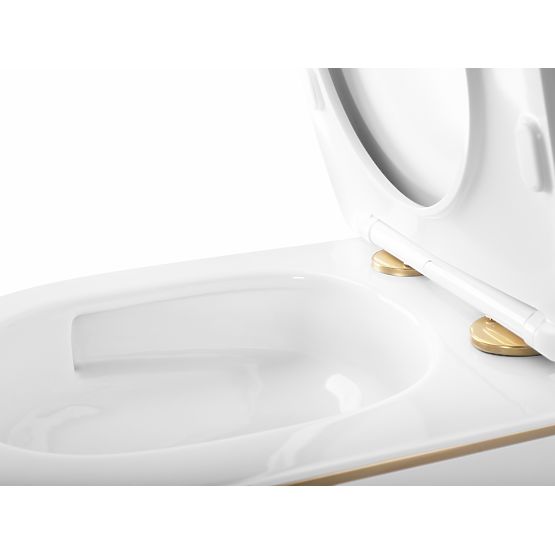 Wall-Hung Toilet Bowl Rea Carlo Mini Tornado NFQ GOLD EDGE