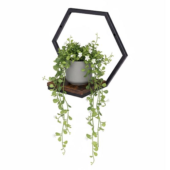 Wall-mounted Flower Pot Hanging Shelf for Plants Loft Decoration Hexagon ModernHome