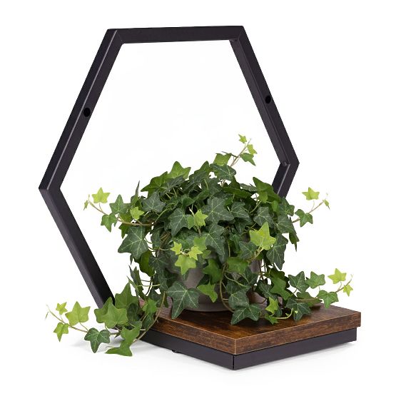 Wall-mounted Flower Pot Hanging Shelf for Plants Loft Decoration Hexagon ModernHome