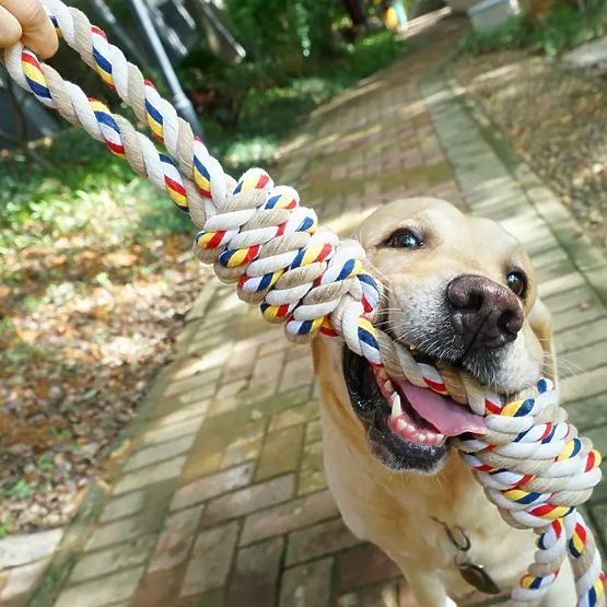 WALLY 60 cm Tug Toy with Knots