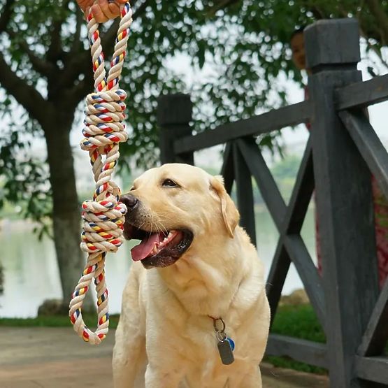 WALLY 60 cm Tug Toy with Knots