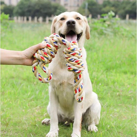 WALLY 60 cm Tug Toy with Knots