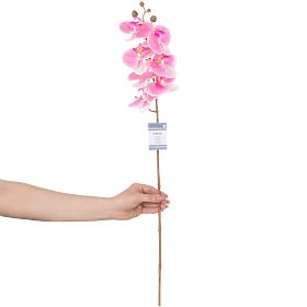 Artificial Flower FALENI Pink Color Modern Style AmeliaHome