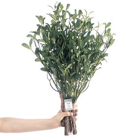 Artificial Flower PLANTI Green Color Modern Style AmeliaHome