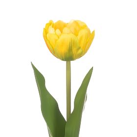 Artificial Flower TULIPI Yellow Color Modern Style AmeliaHome