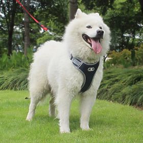 ASTRO Blue Dog Training Harness Size L