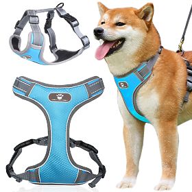 ASTRO Blue Dog Training Harness Size L