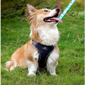 ASTRO Blue Dog Training Harness Size S