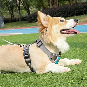 ASTRO Dog Training Harness Blue Size M