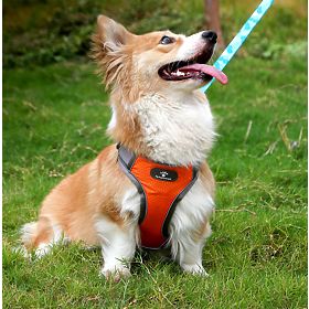 ASTRO Dog Training Harness Orange Size M