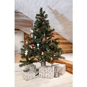 Christmas tree Fir Amelia 180cm