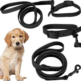 Dog Leash and Collar PJ-071 Black M